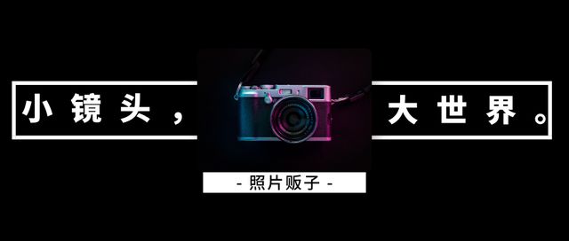 拍摄鸟类需要注意的不同类别摄影-虎哥说创业