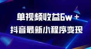 抖音最近爆火的换脸小程序变现 单视频收益6w＋-虎哥说创业