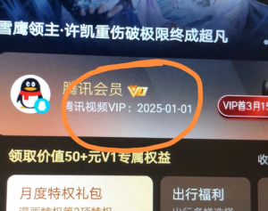 外面收费88撸腾讯会员2年，号称百分百成功，具体自测【操作教程】-虎哥说创业