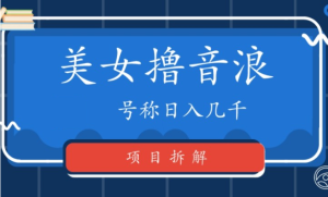 外面工作室收1980的项目，七月份最新美女撸音浪，号称日入几千【教程＋软件】-虎哥说创业