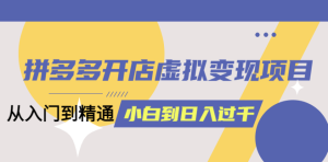 拼多多开店虚拟变现项目：入门到精通 从小白到日入1000（完整版）-虎哥说创业