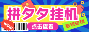 外面项目收费 3980 元 的拼多多多开，全自动浏览项目，单窗口日收益16+-虎哥说创业