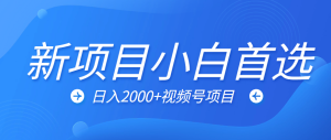 最新项目小白首选 一台电脑挂机日入2000+-虎哥说创业