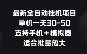 最新全自动挂机项目，单机一天30-50，支持手机＋模拟器，适合批量放大-虎哥说创业