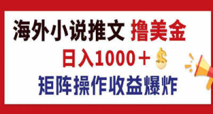 最新海外小说推文撸美金，日入1000＋ 蓝海市场，矩阵放大收益爆炸-虎哥说创业